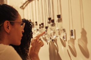 exposição: RAÍZES: COMEÇO, MEIO E COMEÇO