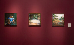 Memória - relatos de uma outra História OBRAS FOTO DANIEL CERQUEIRA 03 300x181